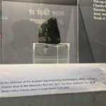 After ASI restores Netaji cap at Red Fort museum, grandnephew alleges not original